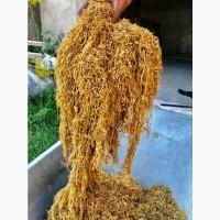 Імпортні тютюни! /Winston/ KapitanBlek/ Cemell/ Marlboro/ Bond / Вірджинія / Міленіум /