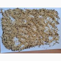 Продам просо зерноотход