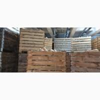 Продам тыкву Батернат 20 тон