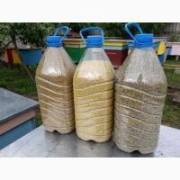 Продам пилок бджолиний