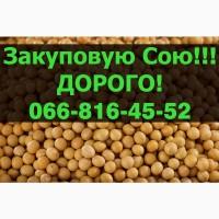 Купуємо СОЮ!Дорого!Запрошуємо виробника до співпраці