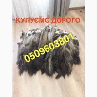 Закупка скупка шкір хутра куниці ДОРОГО