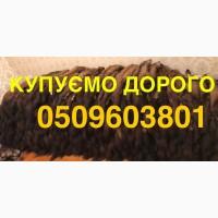 Купуємо хутро шкіри куниці ДОРОГО мех