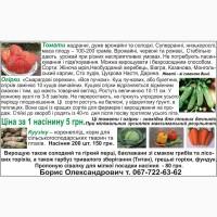Насіння овочевих культур