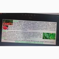 Насіння овочевих культур