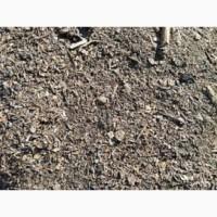 Закупаем деловой сор и отходы зерновых