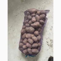 Картопля (некондиція)