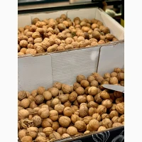Продам волоський горіх