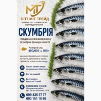 Скумбрія 400/600; 500