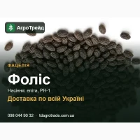 С0рт08е нвсіння фвцелії Ф0ліс