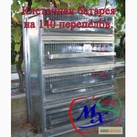 Клеточная батарея на 140 перепелов