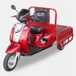 Грузовой самосвал мотоцикл (муравей) Spark SP110 TR-4. 500 кг