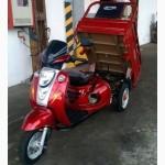 Грузовой самосвал мотоцикл (муравей) Spark SP110 TR-4. 500 кг