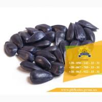 Семена подсолнечника / Сертифіковане насіння соняшника