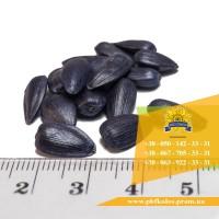 Семена подсолнечника / Сертифіковане насіння соняшника