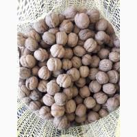 Продам горіх кругляк