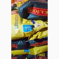 Продам высокопродуктивные семена подсолнечника
