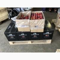 Продам бушели для яблок от фирмы поставщика