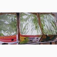 Продам листя салату