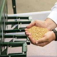 Очистка, калібрування, сортування, фотосепарація зерна будь-яких с/г культур