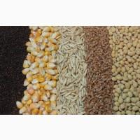 Очистка, калібрування, сортування, фотосепарація зерна будь-яких с/г культур