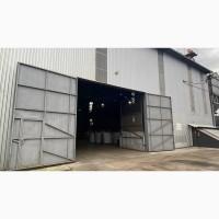 Очистка, калібрування, сортування, фотосепарація зерна будь-яких с/г культур