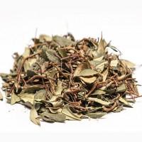 Зимолюбка (трава) фасовка от 100 грамм - 1 кг