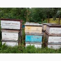 Продам вулики лежаки бу