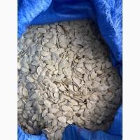 Продам гарбузове насіння, сорт Українська багатоплідна 3т