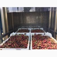 Обладнання для зберігання ягід