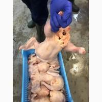 Курица оптом, тушка, разделка, суб продукты