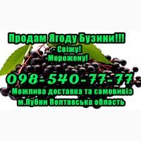 Продам ягоду бузини!Опт! Гнучкий Розрахунок, конкурентна ціна