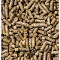 Закуповуємо шрот соняшниковий гранульований та негранульований