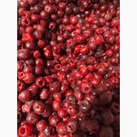 Продам заморожену вишню з кісточкою та без кісточки
