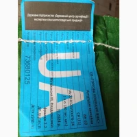 Продам кукурудзу Тесла ФАО 350, Вегас ФАО 280 у м.Дніпро по супер цінам