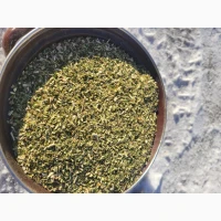 Махорка домашня, зелена