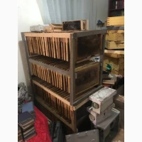 Продам улики оптом по 500грн