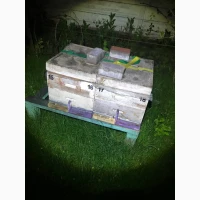 Продам улики оптом по 500грн