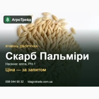 Ячмінь Скарб Пальміри - насіння ячменю-дворучки (СГІ, Одеса), еліта, РН-1