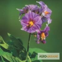 Регент 20G продажа, Регент 20G купить, Регент 20G инструция, Регент 20G цена, Регент ціна