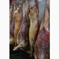 Продажа говядины по частям