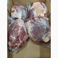 ПрАТ АГРО-ПРОДУКТ продає охолоджене мясо на кості та кускове мясо бика і корови