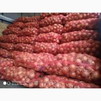 Продам лук