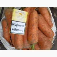 Продаём морковь Каскад