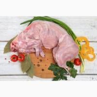 Продам м#039;ясо кролика. Свіже м#039;ясо кроля