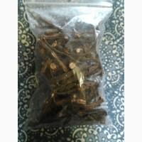 Лапчатка белая - корень