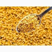 Продам Пилок квітковий