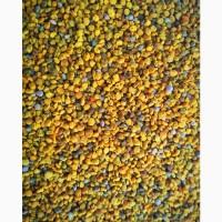 Пилок квітковий ( обніжжя, обніжка)