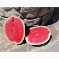 Продам кавун Каристан