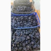 Продам чорнослив без кісточки